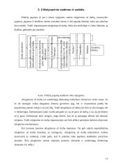 Įvairios darbo užmokesčio rūšys 12 puslapis