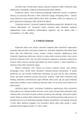 Įvairios darbo užmokesčio rūšys 14 puslapis