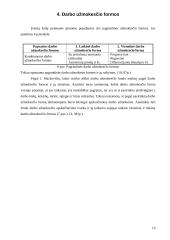 Įvairios darbo užmokesčio rūšys 15 puslapis