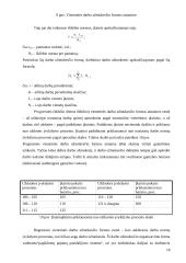 Įvairios darbo užmokesčio rūšys 18 puslapis