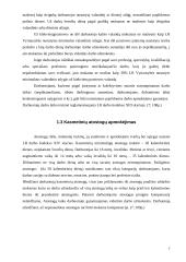 Įvairios darbo užmokesčio rūšys 7 puslapis