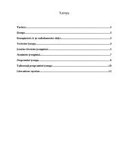 Kompiuteris: techninė ir programinė įranga 2 puslapis