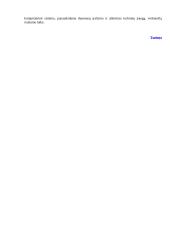 Kompiuteris: techninė ir programinė įranga 12 puslapis