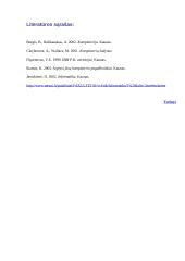 Kompiuteris: techninė ir programinė įranga 13 puslapis