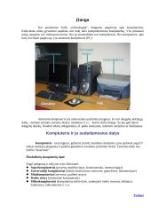 Kompiuteris: techninė ir programinė įranga 3 puslapis