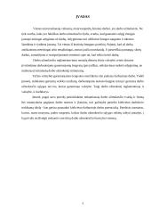 Darbo užmokestis bei jo formos 2 puslapis