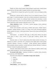 Darbo užmokestis: UAB "Magestra" 2 puslapis