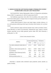 Darbo užmokestis: UAB "Magestra" 13 puslapis
