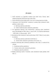 Darbo užmokestis: UAB "Magestra" 19 puslapis