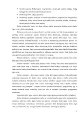 Darbo užmokestis: UAB "Magestra" 5 puslapis