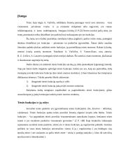 Teisės funkcijos ir funkcijų atsispindėjimas teisės normos struktūroje 2 puslapis