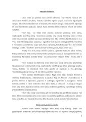 Teisės sistemos ir jos sudarymo būdai 4 puslapis