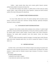 Teisės teorijos objektas, metodas bei paskirtis 7 puslapis