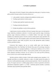 Daugiaaukščių namų gaisrai 19 puslapis