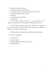 Daugiaaukščių namų gaisrai 7 puslapis