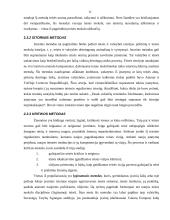 Lietuvos teisės teorijos objektas ir metodas 11 puslapis