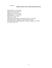 Dekoratyvinio apželdinimo planas 11 puslapis