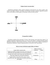 Dekoratyvinio apželdinimo planas 5 puslapis