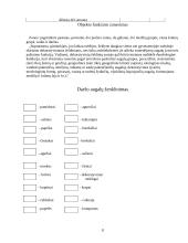 Dekoratyvinio apželdinimo planas 6 puslapis