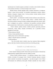 Teisinės valstybės samprata ir pagrindiniai principai 4 puslapis