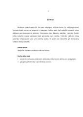 Teisinės valstybinio valdymo formos 3 puslapis