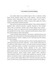 Teisinės valstybinio valdymo formos 4 puslapis