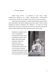 Teisinių santykių rūšys, požymiai, struktūra ir turinys 4 puslapis