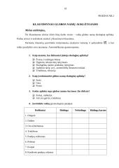 Ekologinės aplinkos įtaka globos namų vaikų sveikatai 18 puslapis