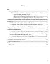 Ekonominis augimas ir šiuolaikiniai jo aspektai 2 puslapis