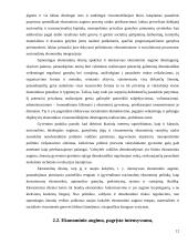 Ekonominis augimas ir šiuolaikiniai jo aspektai 12 puslapis