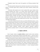 Ekonominis augimas ir šiuolaikiniai jo aspektai 15 puslapis