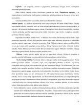 Ekonominis augimas ir šiuolaikiniai jo aspektai 16 puslapis