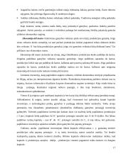 Ekonominis augimas ir šiuolaikiniai jo aspektai 17 puslapis