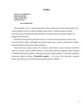 Ekonominis augimas ir šiuolaikiniai jo aspektai 3 puslapis