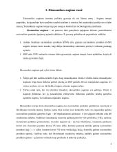 Ekonominis augimas ir šiuolaikiniai jo aspektai 4 puslapis