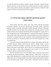 Ekonominis augimas ir šiuolaikiniai jo aspektai 9 puslapis