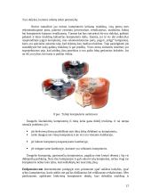 Tylusis kompiuteris 12 puslapis