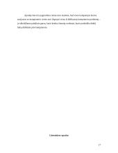 Tylusis kompiuteris 17 puslapis