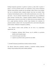 Tylusis kompiuteris 8 puslapis