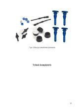 Tylusis kompiuteris 10 puslapis