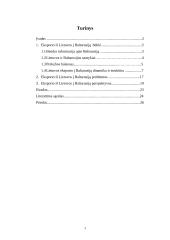 Eksporto iš Lietuvos į Baltarusiją analizė: būklė, problemos, perspektyvos 2 puslapis