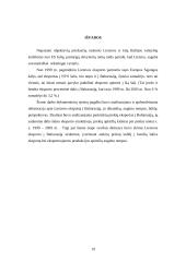 Eksporto iš Lietuvos į Baltarusiją analizė: būklė, problemos, perspektyvos 20 puslapis