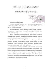 Eksporto iš Lietuvos į Baltarusiją analizė: būklė, problemos, perspektyvos 4 puslapis