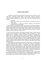 Eksporto plėtra: "Utenos trikotažas" 11 puslapis