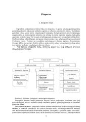 Eksporto plėtra: "Utenos trikotažas" 5 puslapis