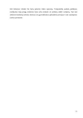 Trumpalaikių paskolų analizė Lietuvos komerciniuose bankuose 10 puslapis