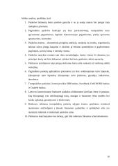 Trumpalaikių paskolų analizė Lietuvos komerciniuose bankuose 19 puslapis