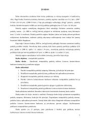 Trumpalaikių paskolų analizė Lietuvos komerciniuose bankuose 2 puslapis