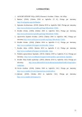 Trumpalaikių paskolų analizė Lietuvos komerciniuose bankuose 20 puslapis