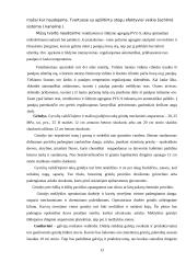 Tvarto rekonstrukcija į 64 vietų karvidę 13 puslapis